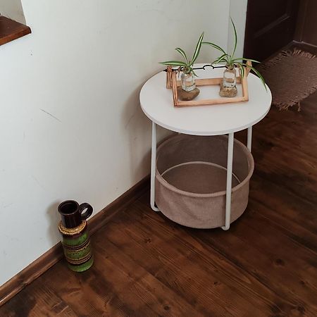 Arthouse Lucrezia Otel Temeşvar Dış mekan fotoğraf