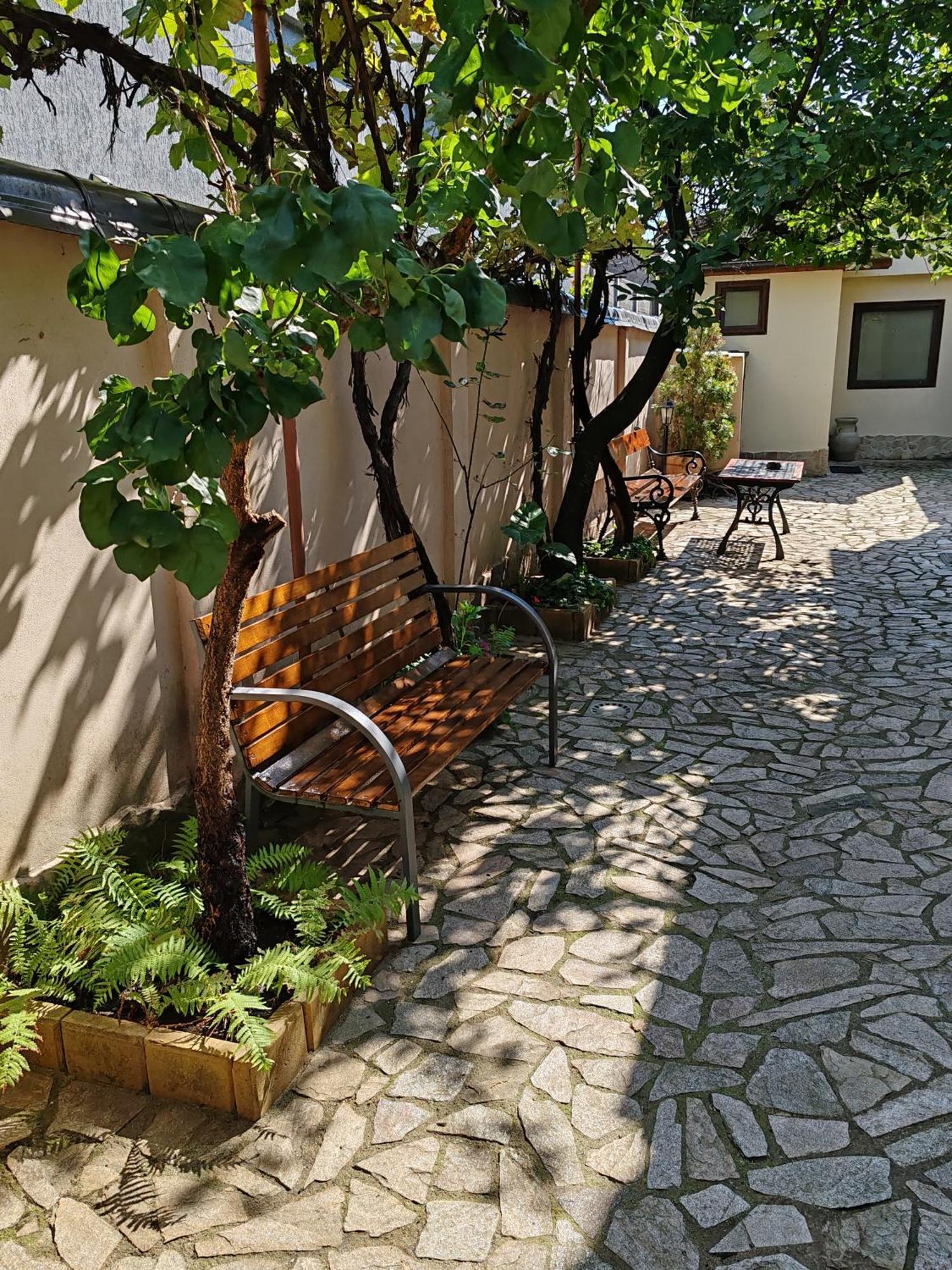 Arthouse Lucrezia Otel Temeşvar Dış mekan fotoğraf