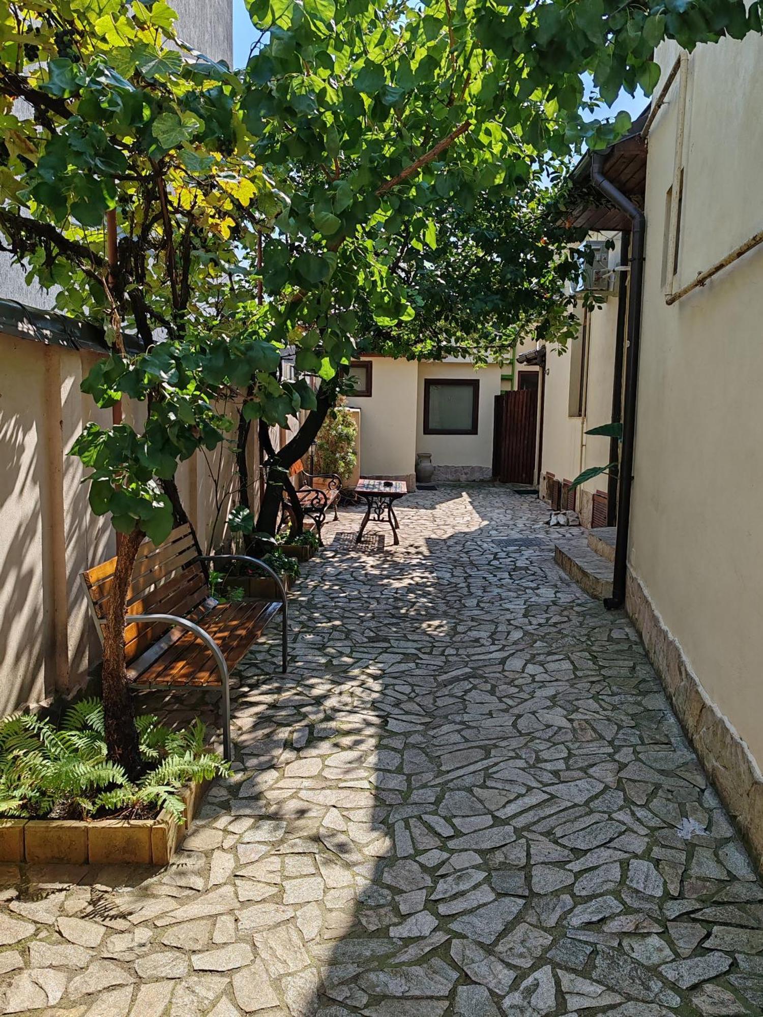 Arthouse Lucrezia Otel Temeşvar Dış mekan fotoğraf